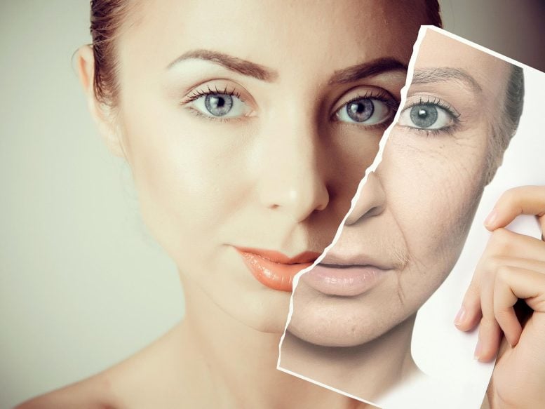 The Most Accurate Biological Age Test for True Health Insight