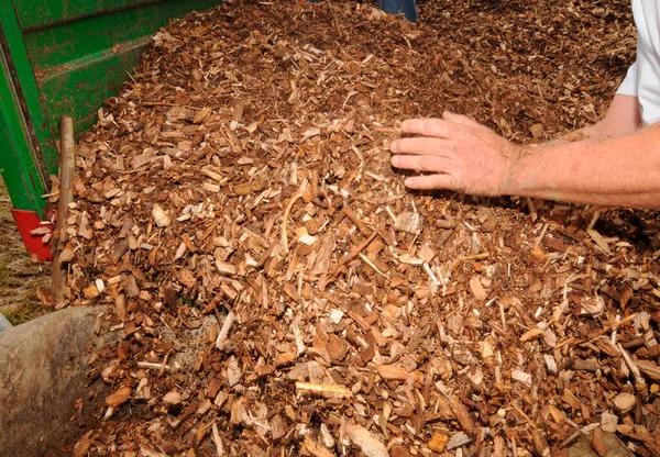 Find the Best Mulch Delivery Near Me at Great Prices