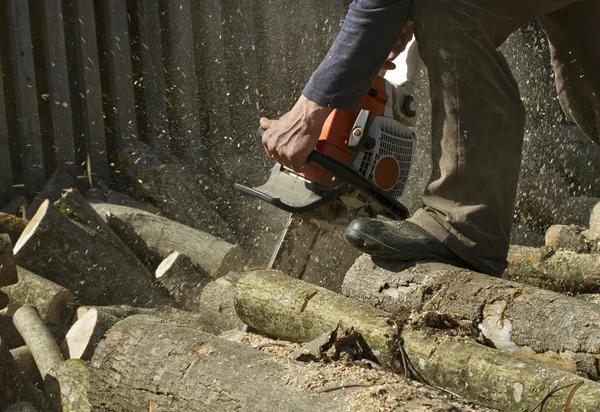 Tree Removal Service Mobile for Healthy Outdoor Spaces