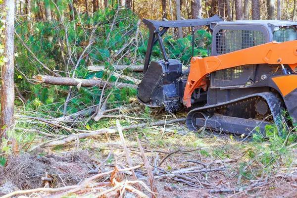 Expert Tree Trimming Near Me Services