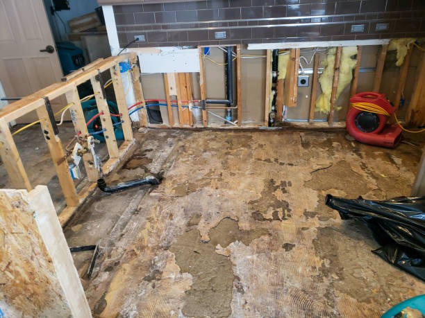 Expert Insulation Company in Prince George for New and Existing Homes