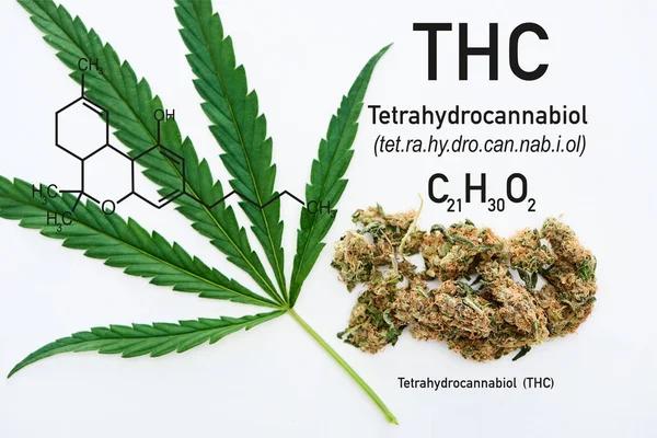 Key Factors to Consider When Learning About Hemp-Derived Cannabinoids